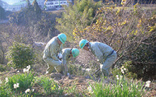 四国通建も木を植えています